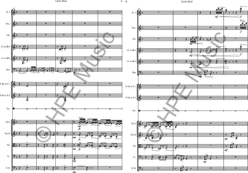 GriegLittleBird2Orch21